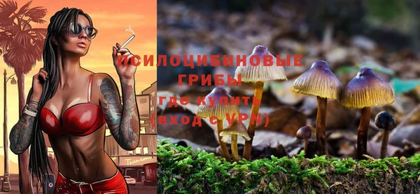 молекула духа Алзамай