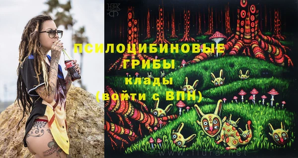 ALPHA PVP Алексин
