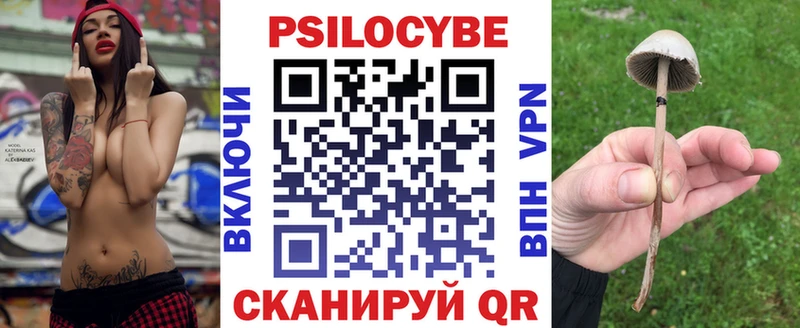 Галлюциногенные грибы Psilocybine cubensis  где найти наркотики  Алейск 